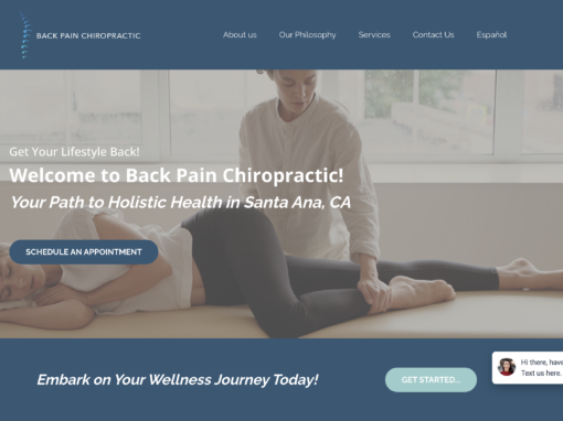 Back Pain Chiropractic